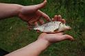 Manor Farm Coarse Fishing Anglers of the Future (16)